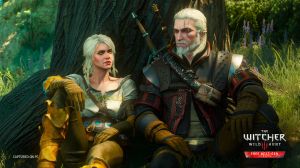 The Witcher 3: Wild Hunt 0