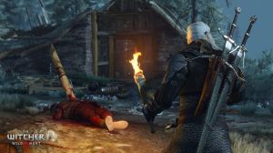 The Witcher 3: Wild Hunt 5