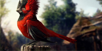 Empowerment Amidst the Storm: Union Formation in Polish Gaming Industry